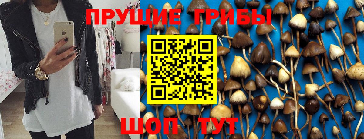 Галлюциногенные грибы мухоморы  Вход с VPN  Псилоцибиновые грибы ЛСД  Соликамск 
